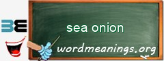WordMeaning blackboard for sea onion